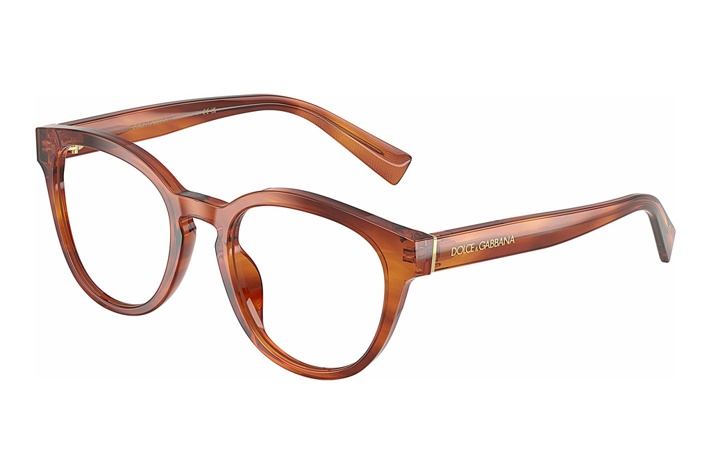 Dolce & Gabbana   DG3421 3221 Striped Ginger