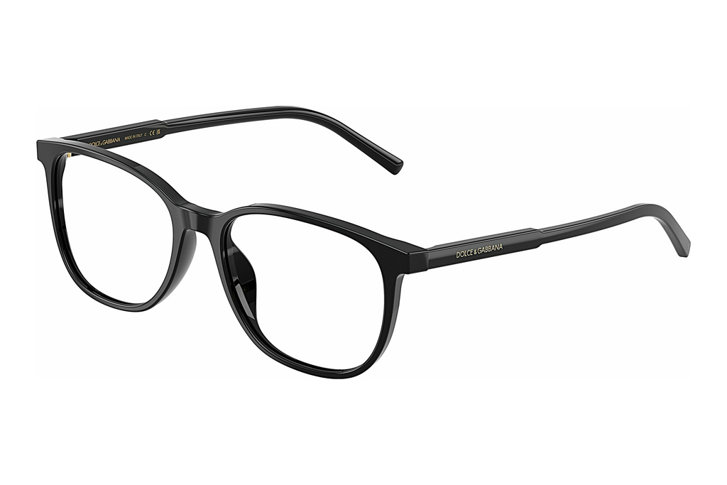 Dolce & Gabbana   DG3426 501 Black