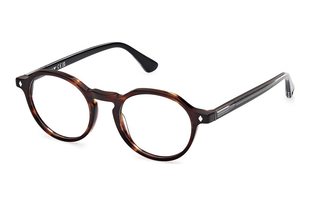 Web Eyewear   WE5440 052 Dunkel Havanna