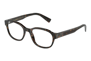 Dolce & Gabbana DG3339 502