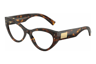 Dolce & Gabbana DG3403 502 Havana