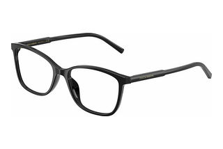 Dolce & Gabbana DG3424 501 Black