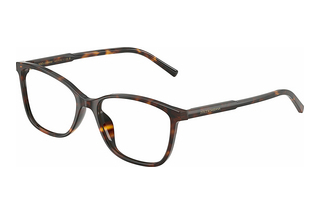 Dolce & Gabbana DG3424 502 Havana