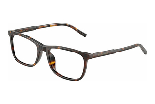 Dolce & Gabbana DG3427 502 Havana