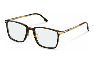 Rodenstock R7162 B000 havana/gold