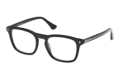 Silmälasit/lasit Web Eyewear WE5386 005