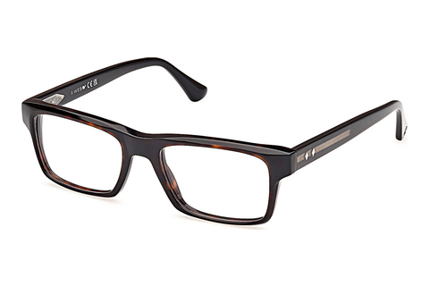 Silmälasit/lasit Web Eyewear WE5432 056