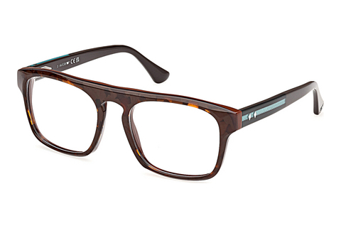 Silmälasit/lasit Web Eyewear WE5434 052