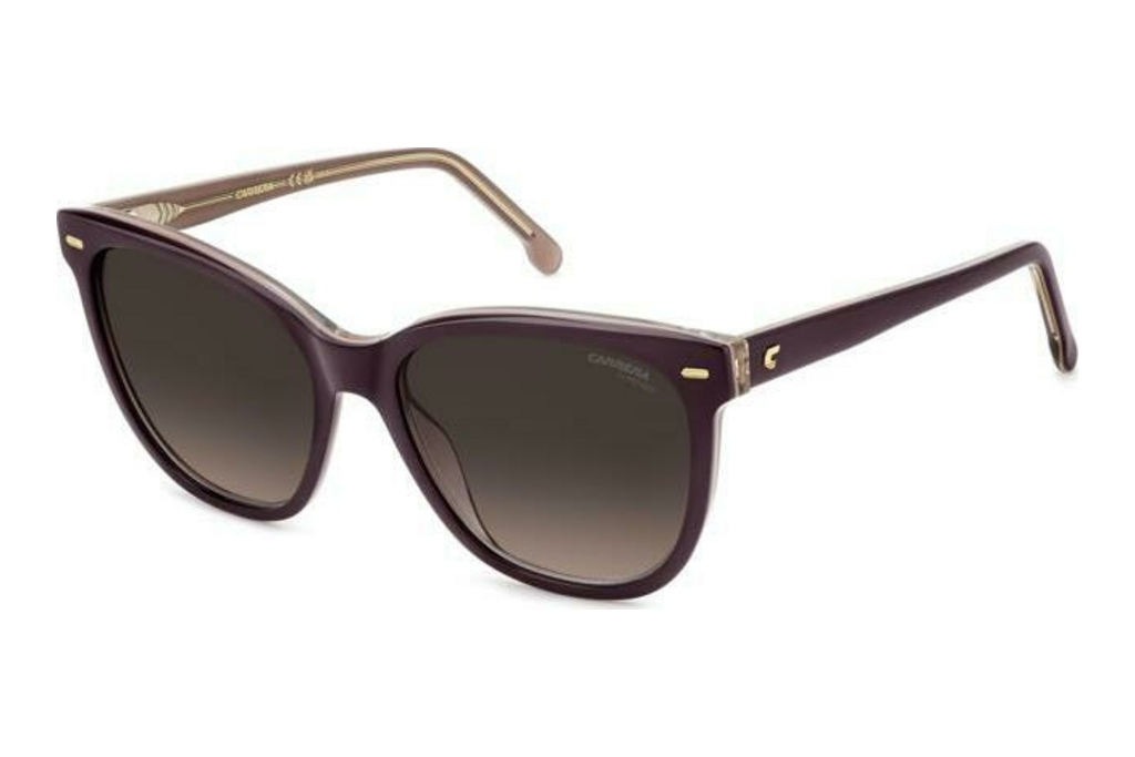 Carrera   CARRERA 3043/S 0T7/HA BROWN SHADEDVIOLETT