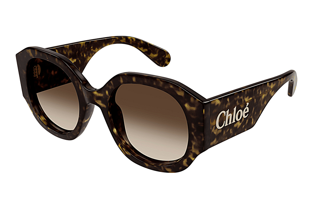 Chloé   CH0234S 002 HAVANA