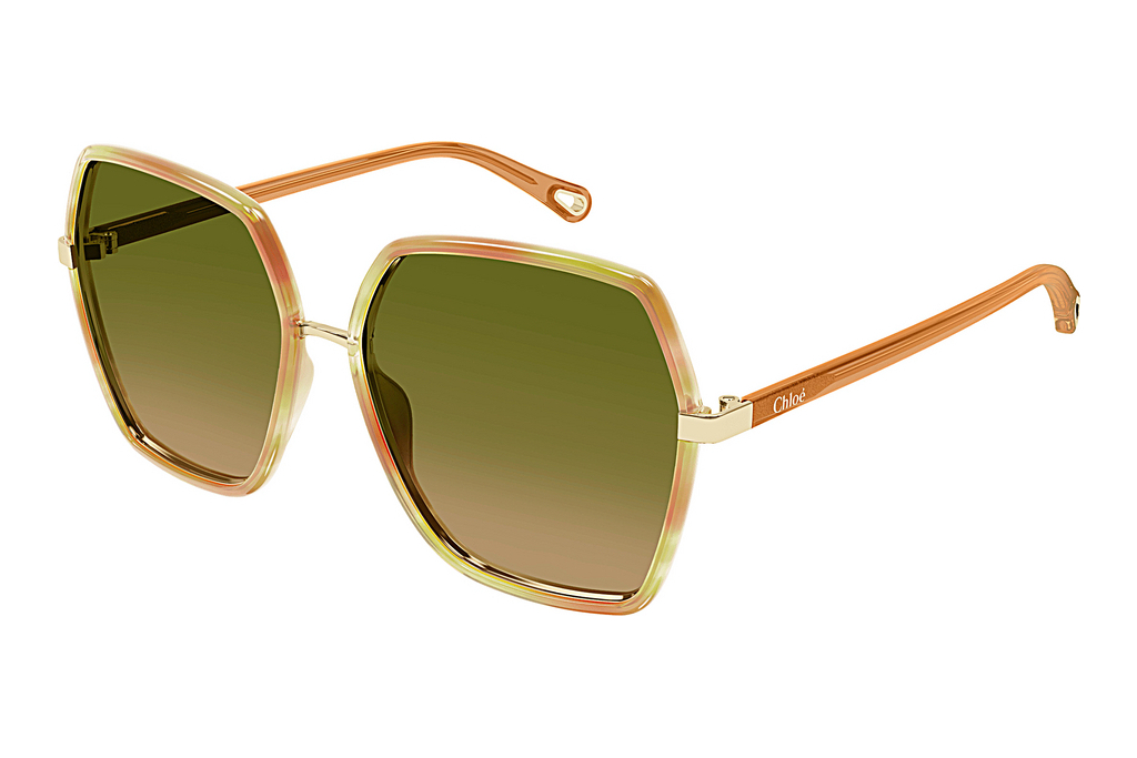 Chloé   CH0262S 004 HAVANA