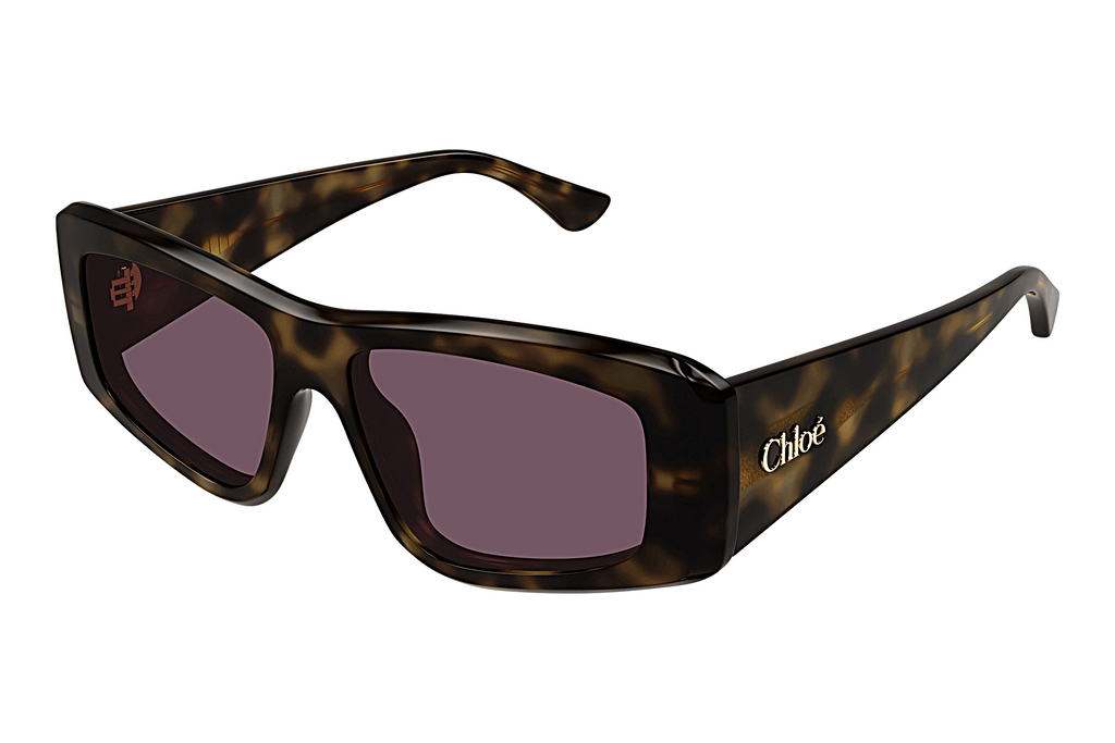 Chloé   CH0299S 002 HAVANA