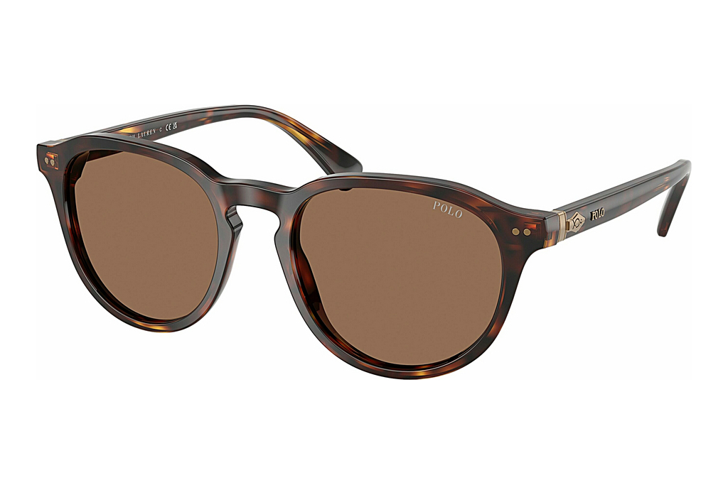 Polo   PH4221 613773 Dark BrownShiny Brown Tortoise