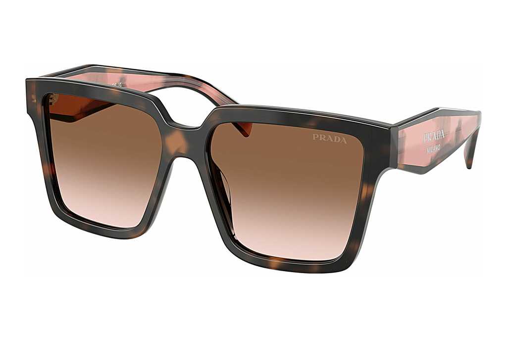 Prada   PR 24ZS 23A0A6 Brown GradientMauve Tortoise