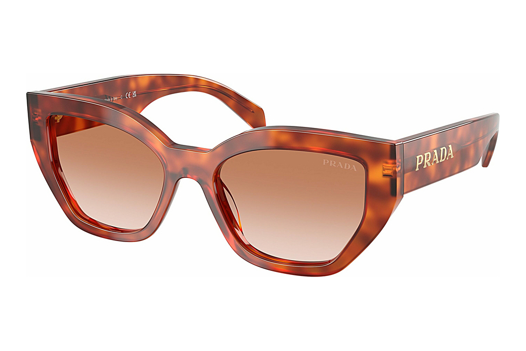 Prada   PR A09S 11P70E Brown GradientCognac Tortoise