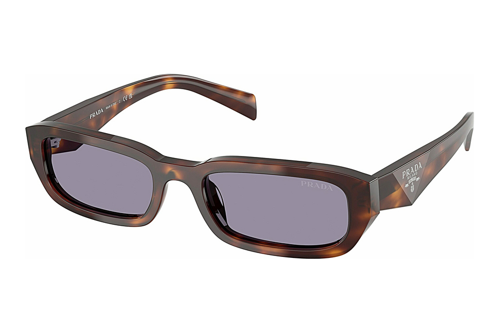 Prada   PR B06S 15W03N GreyClassic Tortoise