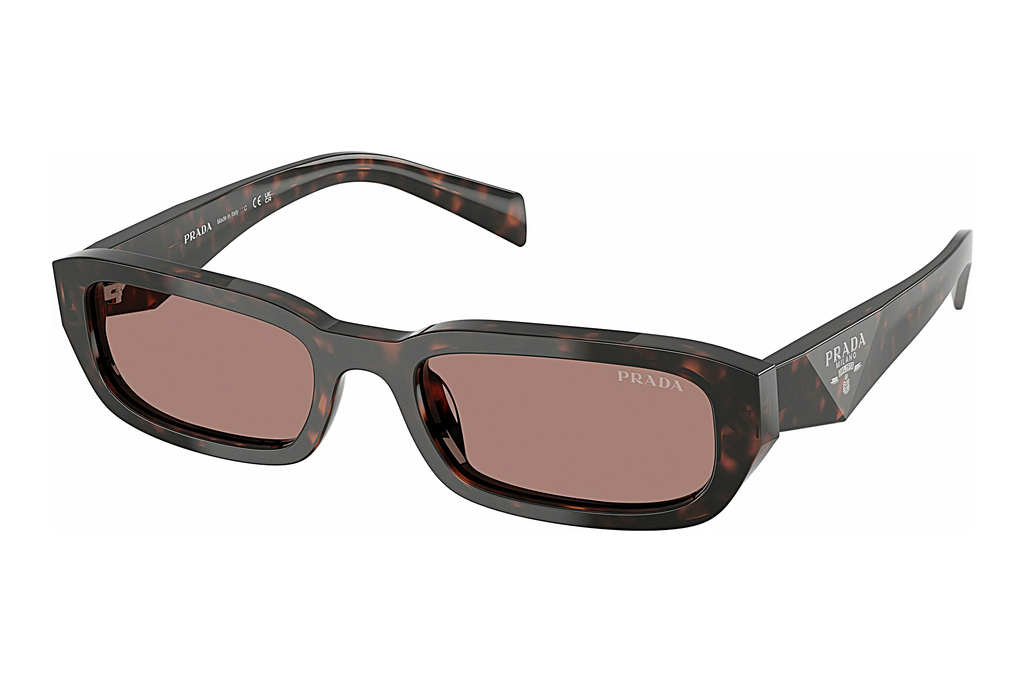 Prada   PR B06S 17N60B Light BrownRoot Tortoise