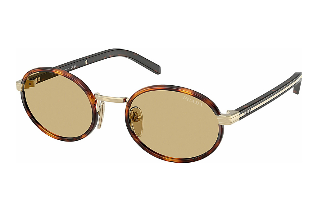 Prada   PR B56S 21E10R Lente Camomilla BioRoot Tortoise