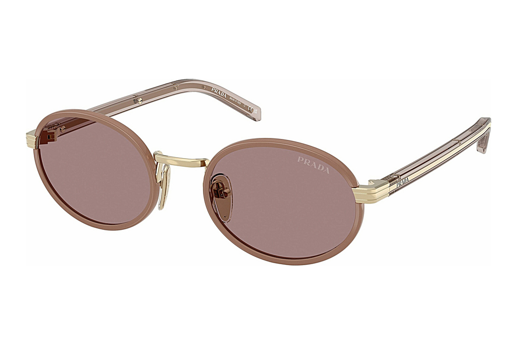 Prada   PR B56S 24E20I Light Purple BrownPecan