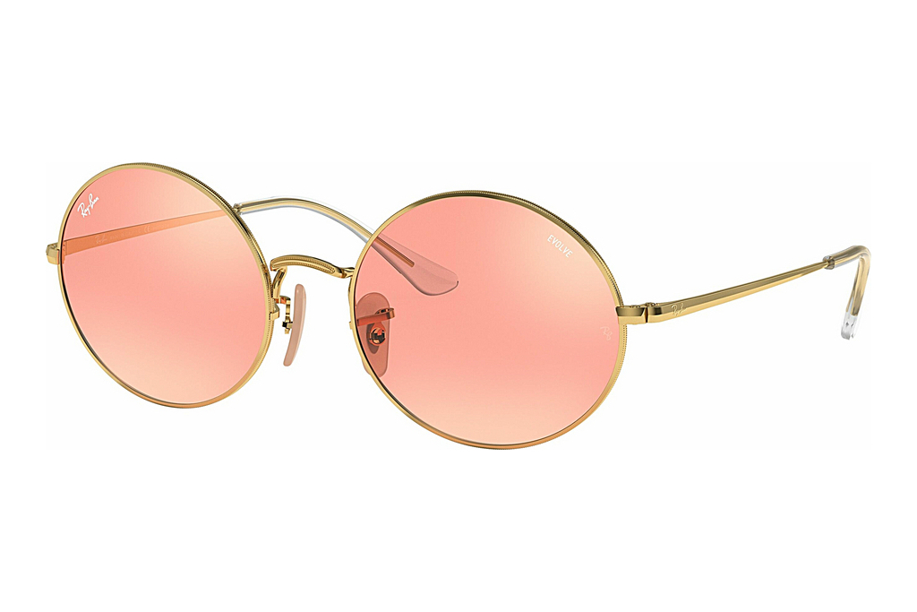 Ray-Ban   RB1970 001/3E Pink GreyShiny Gold