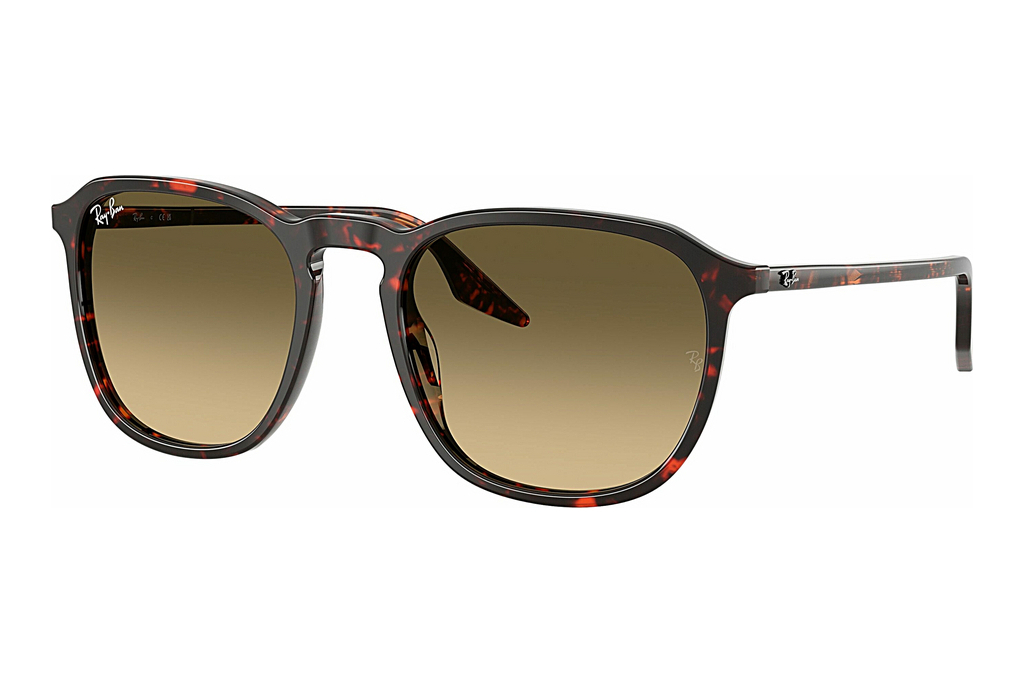 Ray-Ban   RB2203 14290A Brown Vintage Gradient BlackHavana Red Turtle