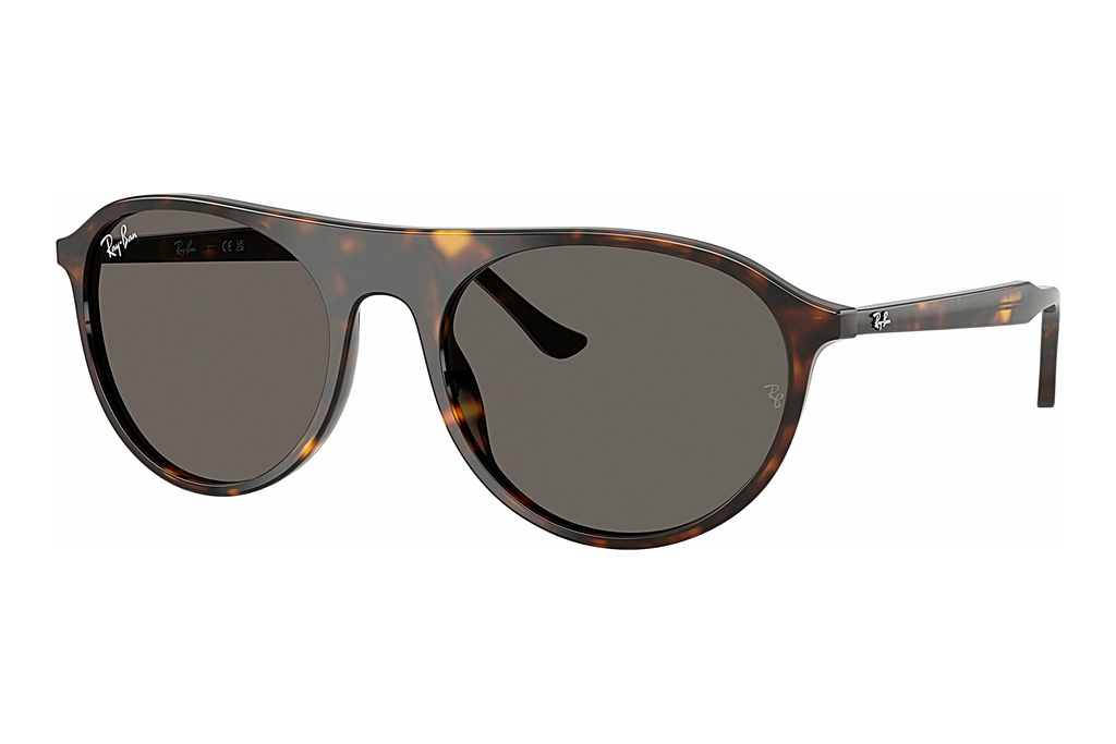 Ray-Ban   RB2215 902/B1 Dark GreyHavana