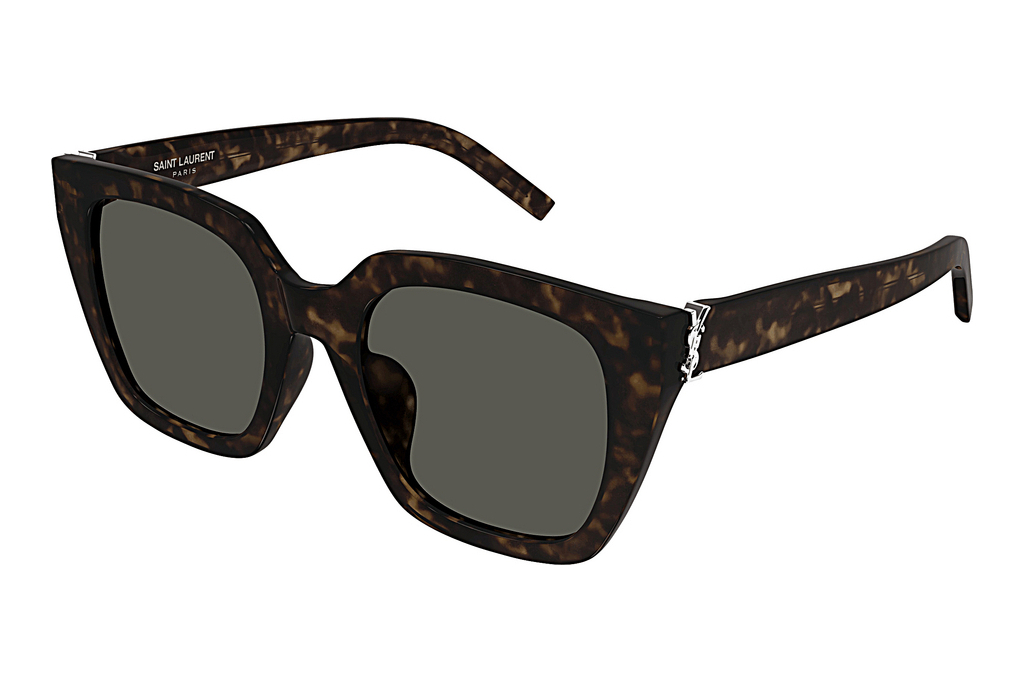 Saint Laurent   SL M143/F 002 HAVANA