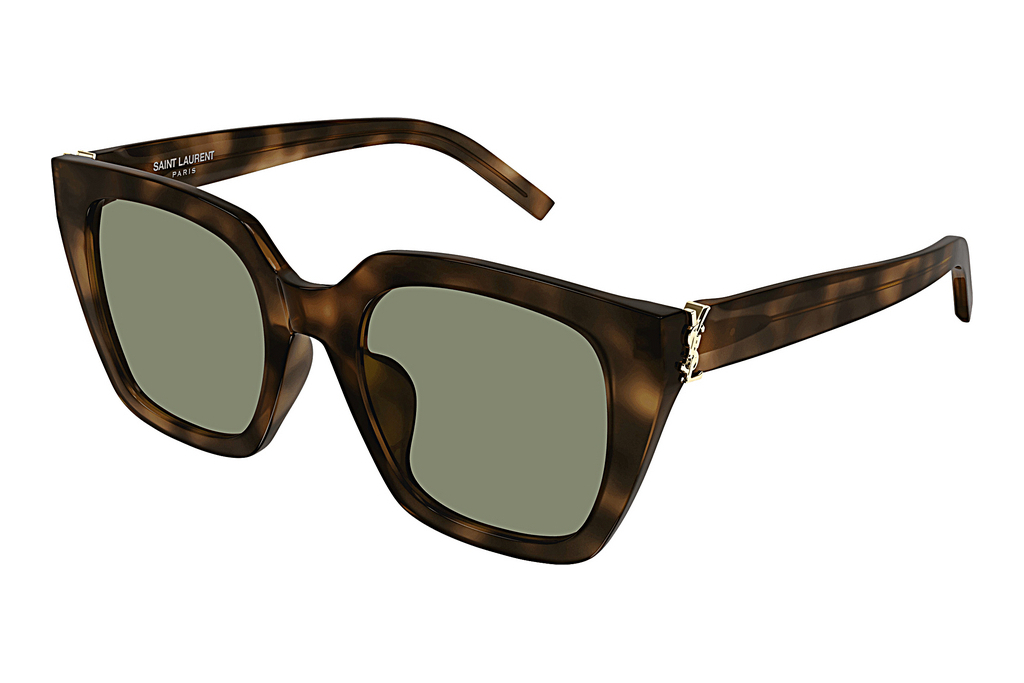 Saint Laurent   SL M143/F 003 HAVANA