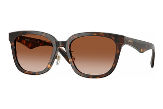 Burberry BE4446D 300213 Brown GradientDark Havana