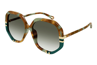 Chloé CH0105S 010 HAVANA