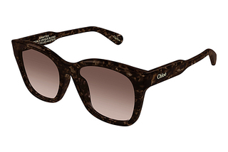 Chloé CH0194SK 002 HAVANA