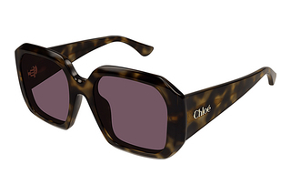 Chloé CH0300S 002 HAVANA