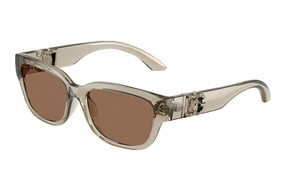 Dolce & Gabbana DX6009 329173 Dark BrownTransparent Beige