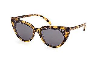 Emilio Pucci EP0183 55A