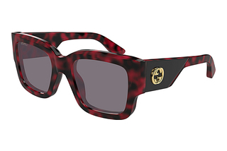 Gucci GG1663S 003 HAVANA