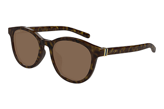 Gucci GG1674SK 002 HAVANA