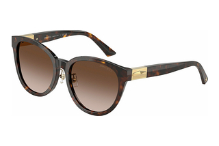 Jimmy Choo JC5032D 50028G Gradient BrownHavana