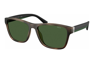 Polo PH4229U 607071 Bottle GreenMatte Dark Havana