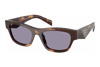 Prada PR B09S 15W03N GreyClassic Tortoise