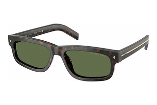 Prada PR B11S 17N20G Polar GreenRoot Tortoise