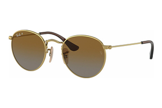 Ray-Ban Kids RJ9547S 223/T5