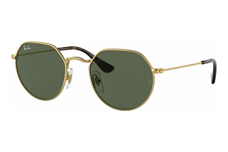 Ray-Ban Kids RJ9565S 223/71