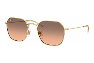 Ray-Ban Kids RJ9594S 223/46 Pink Gradient GreyArista Gold