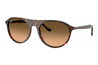 Ray-Ban RB2215 14293B Pink Gradient BlackHavana Red Turtle