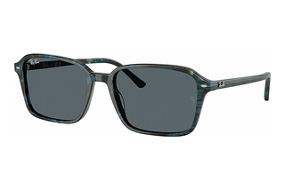 Ray-Ban RB2231 1417R5