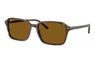 Ray-Ban RB2231 141833 B-15 BrownTransparent Fantasy Brown