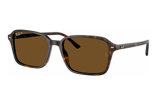 Ray-Ban RB2231 902/57