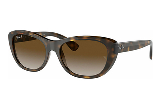 Ray-Ban RB4227 710/T5