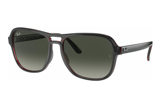 Ray-Ban RB4356 660571