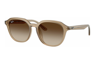 Ray-Ban RB4459D 616613 Gradient BrownTurtledove